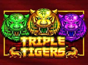 Triple Tigers